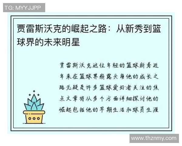 rj篮球明星的崛起之路与背后的奋斗故事揭秘